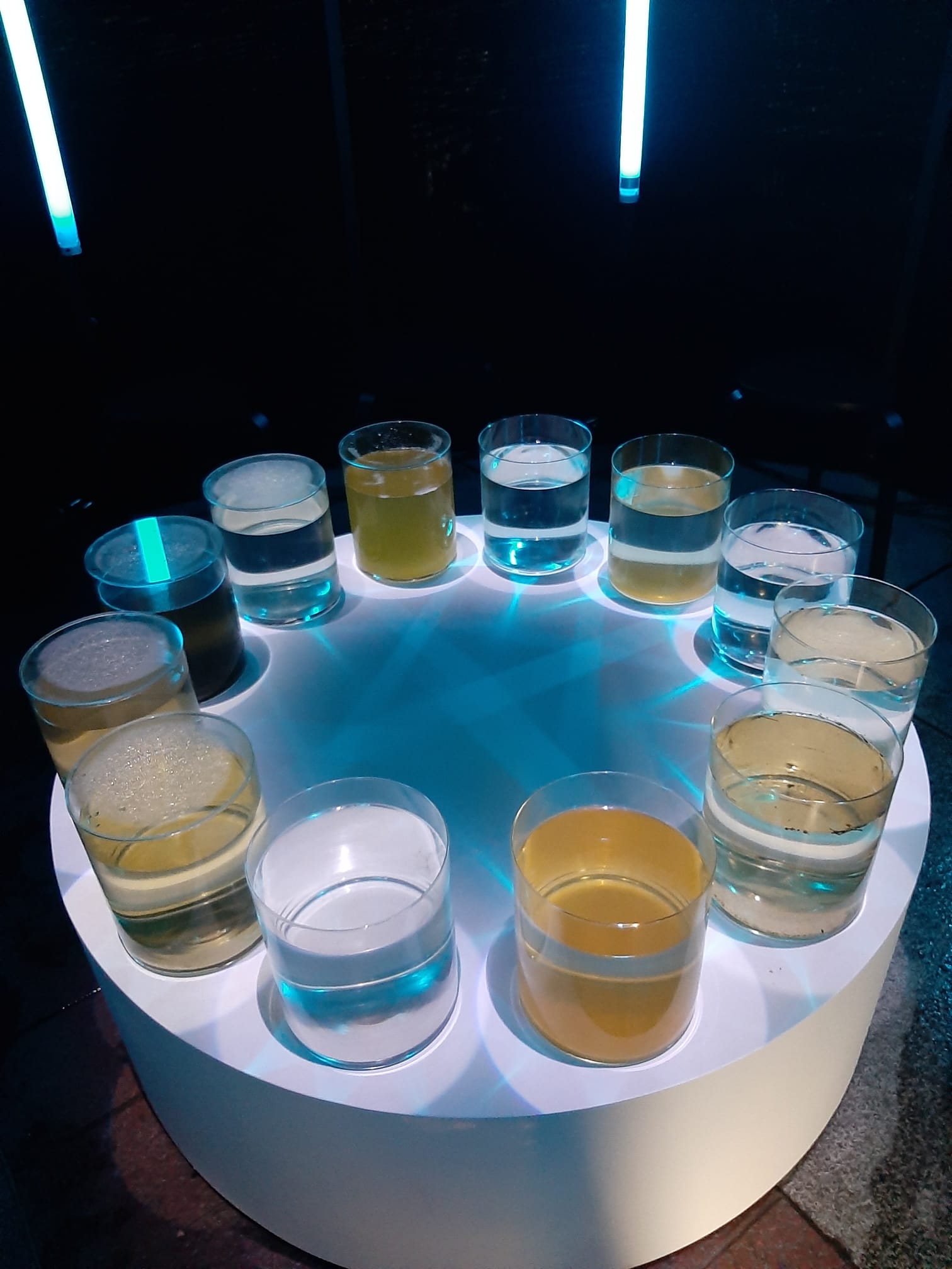 Waterambassade_een_Reflectie_van_Water